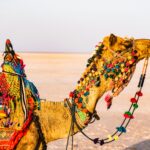 Best Travel Sites in India for Eco-Friendly Trips
