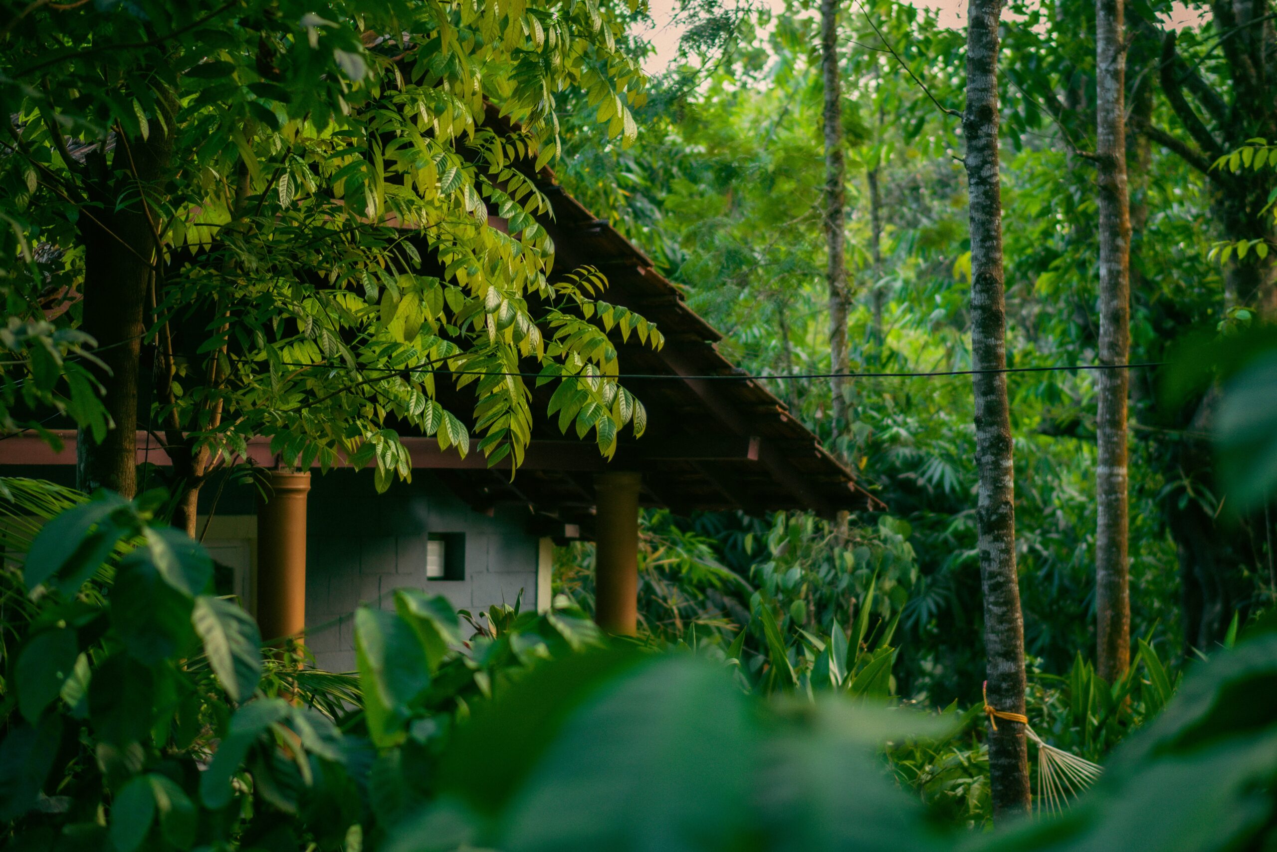 Best Travel Sites - Coorg, Karnataka