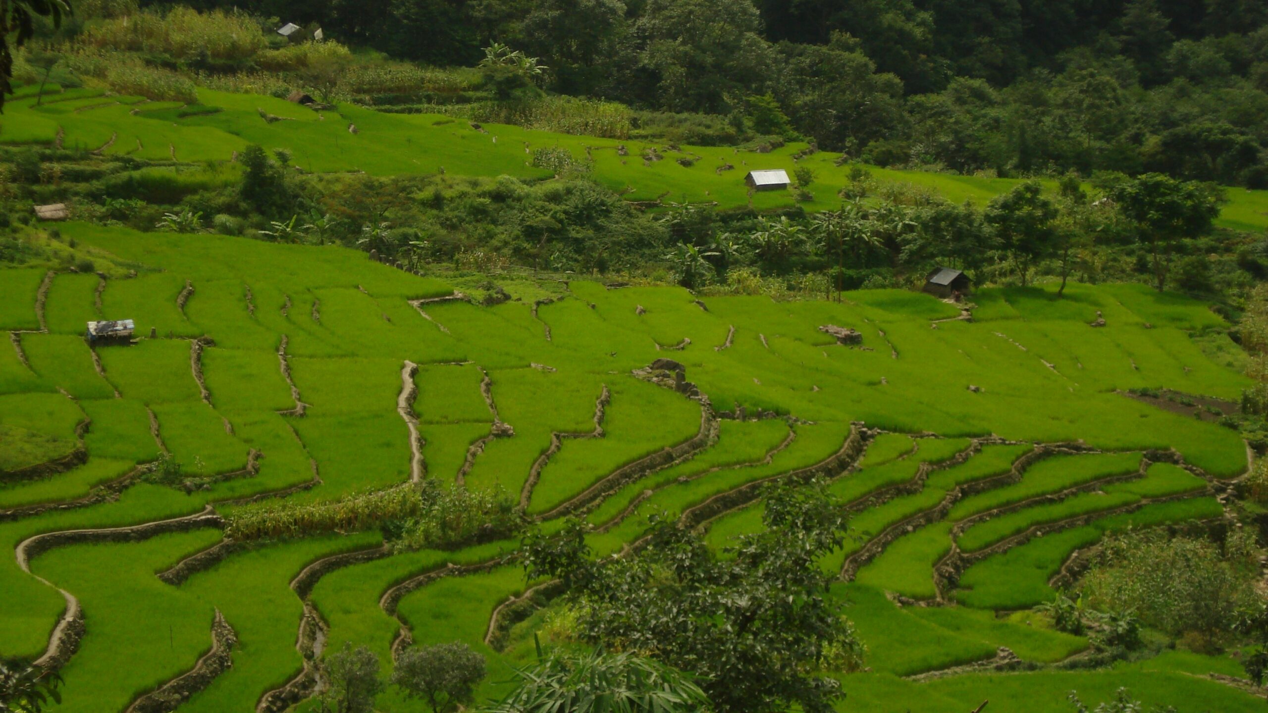 Best Travel Sites - Khonoma, Nagaland
