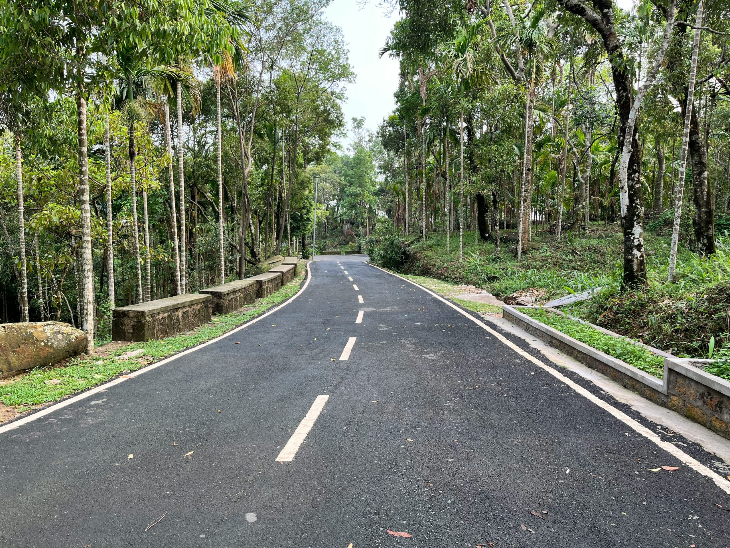 Best Travel Sites - Mawlynnong, Meghalaya